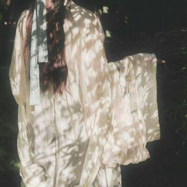 四乃森苍紫（身份：御庭番众前任首领、“天才忍者”） - 综艺未删减在线观看 - 平板追剧